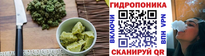 Canna-Cookies марихуана  Купить закладки  Грязовец 