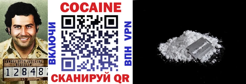 Купить где Грязовец КОКАИН Fish Scale