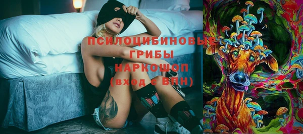 кристаллы Инта