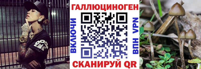 Псилоцибиновые грибы MAGIC MUSHROOMS  Купить закладки  Грязовец 